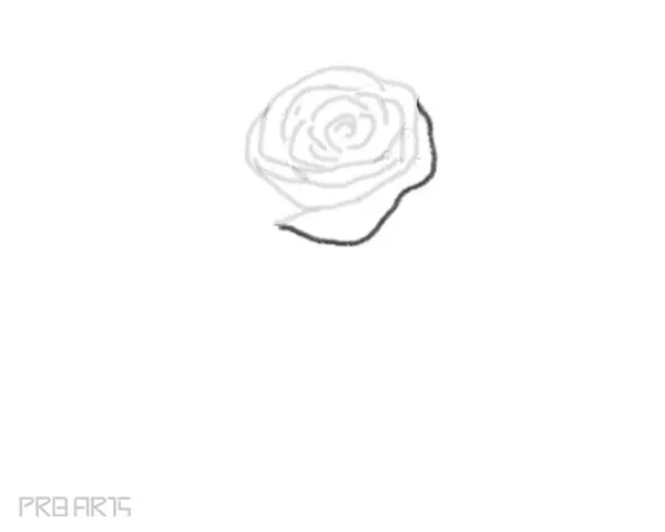 rose drawing step by step tutorial - step 12