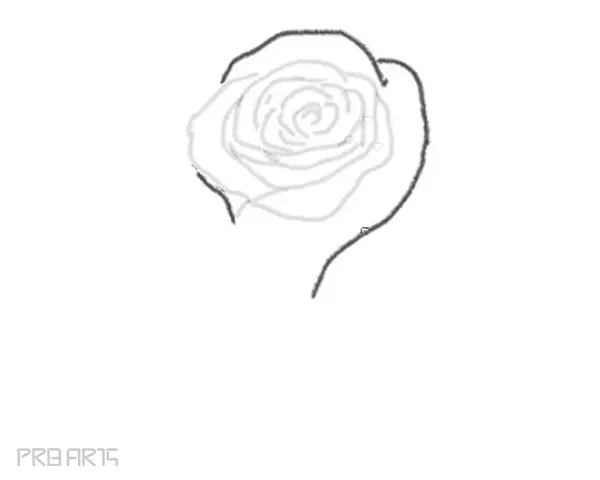 rose drawing step by step tutorial - step 14