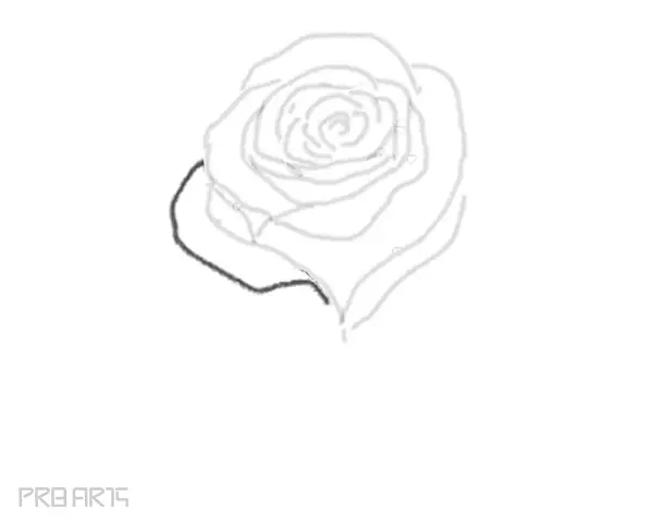 rose drawing step by step tutorial - step 16
