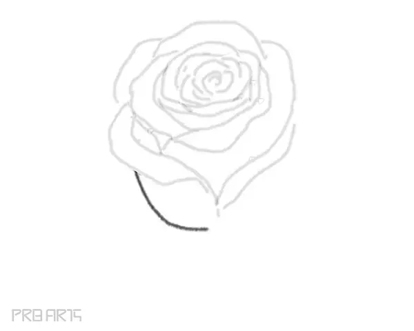 rose drawing step by step tutorial - step 18