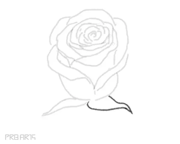 rose drawing step by step tutorial - step 21