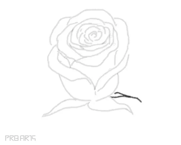 rose drawing step by step tutorial - step 22