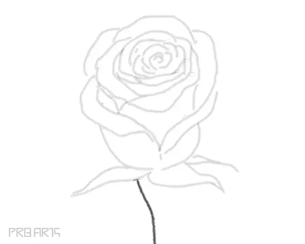 rose drawing step by step tutorial - step 23