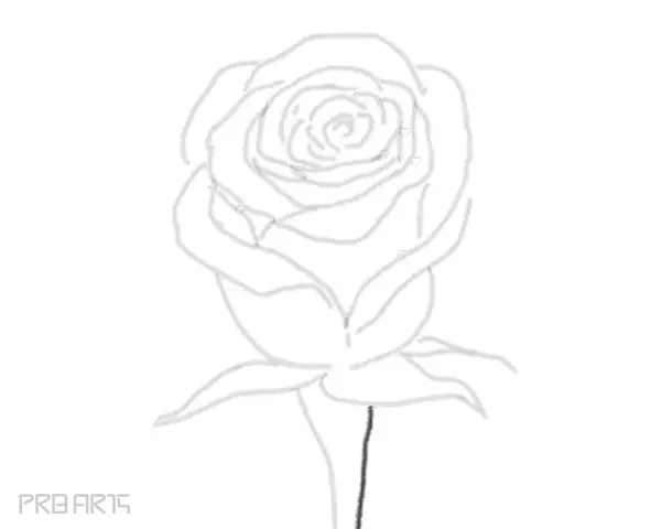 rose drawing step by step tutorial - step 24