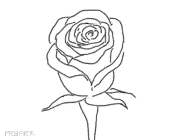 rose drawing step by step tutorial - step 25