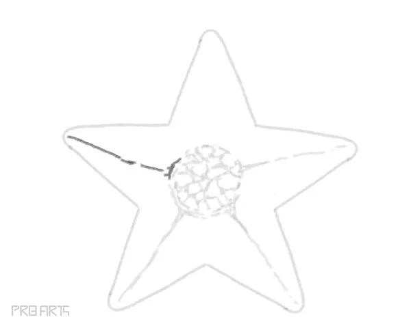 starfish drawing -step by step tutorial guide for beginners - step 22