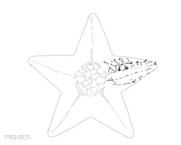 starfish drawing -step by step tutorial guide for beginners - step 24