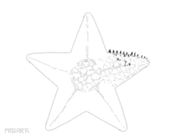 starfish drawing -step by step tutorial guide for beginners - step 26