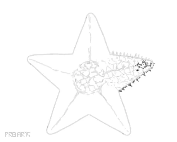 starfish drawing -step by step tutorial guide for beginners - step 27