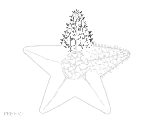 starfish drawing -step by step tutorial guide for beginners - step 28