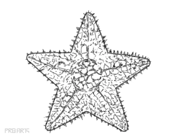 Starfish Pencil Drawing Black White Stock Illustration 1640986084 |  Shutterstock