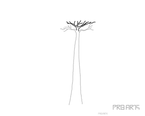 baobab tree drawing tutorial for kids - step 04
