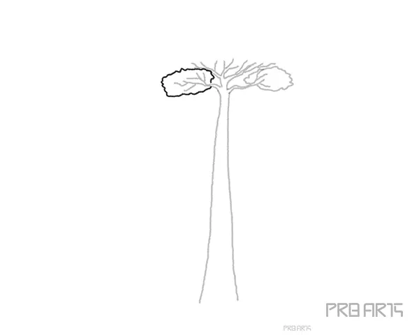 baobab tree drawing tutorial for kids - step 06