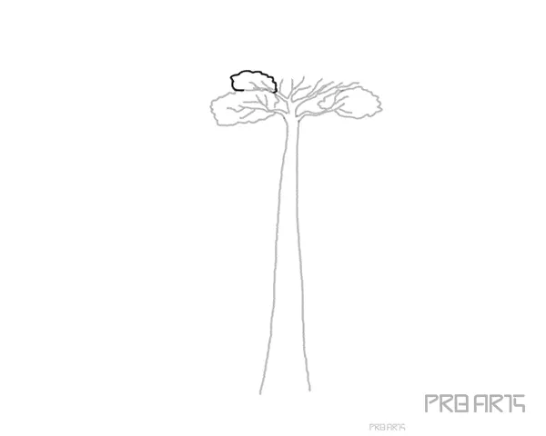 baobab tree drawing tutorial for kids - step 07