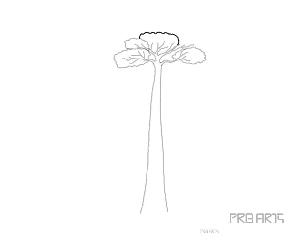 baobab tree drawing tutorial for kids - step 08