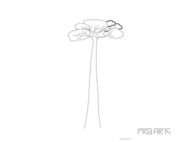 baobab tree drawing tutorial for kids - step 09