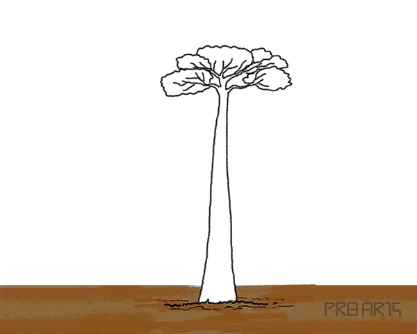 baobab tree drawing tutorial for kids - step 11