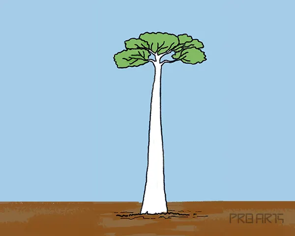 baobab tree drawing tutorial for kids - step 13