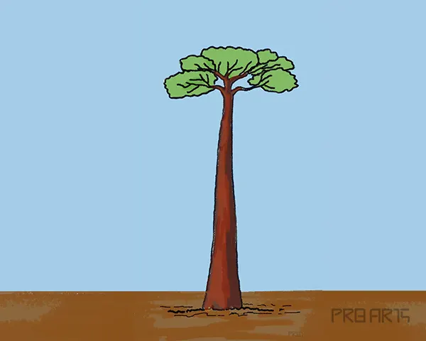 baobab tree drawing tutorial for kids - step 14