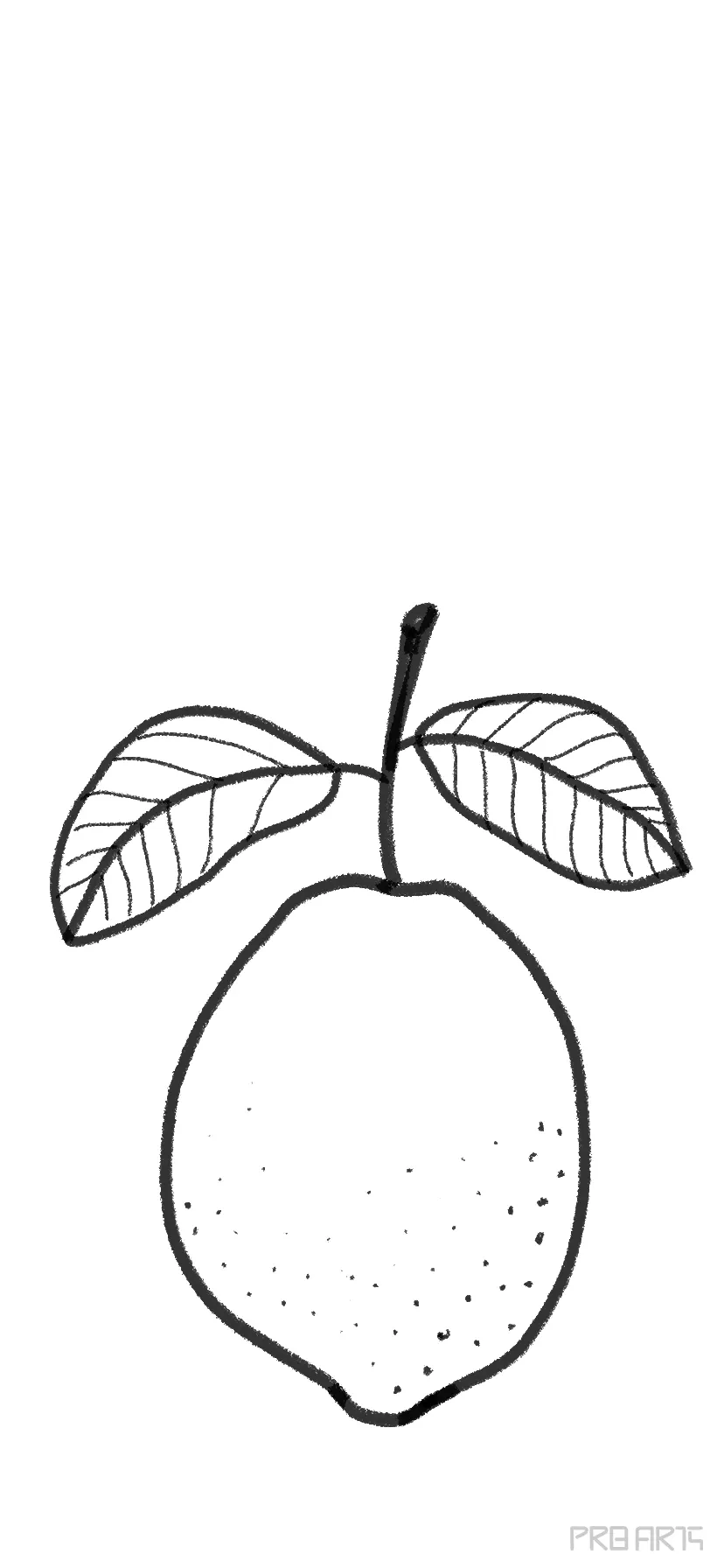 Lemon sketch on chalkboard - vector clip art