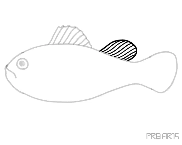 Orange Clownfish or Amphiprion Percula Fish Outline Sketch Drawing Step-by-Step Complete Tutorial Guide - Step 11