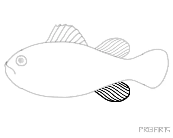 Orange Clownfish or Amphiprion Percula Fish Outline Sketch Drawing Step-by-Step Complete Tutorial Guide - Step 12