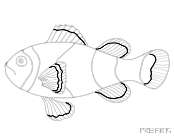 Orange Clownfish or Amphiprion Percula Fish Outline Sketch Drawing Step-by-Step Complete Tutorial Guide - Step 17