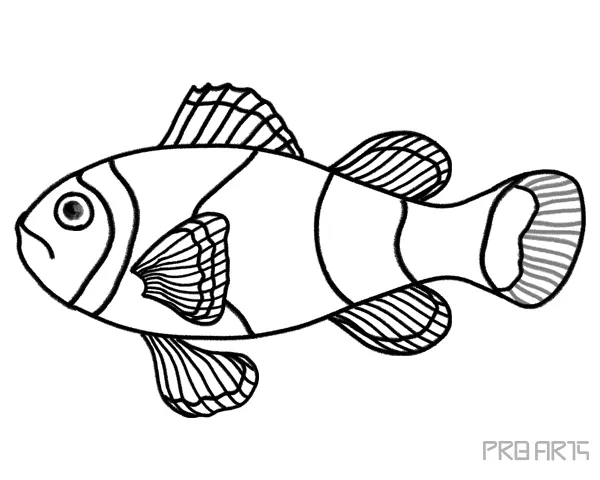 Orange Clownfish or Amphiprion Percula Fish Outline Sketch Drawing Step-by-Step Complete Tutorial Guide
