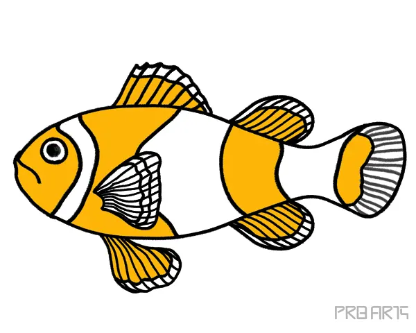 Orange Clownfish basic coloring guide drawing tutorial for kids
