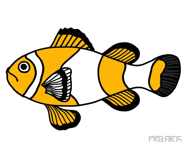 Orange Clownfish coloring tutorial guide for beginners and kids