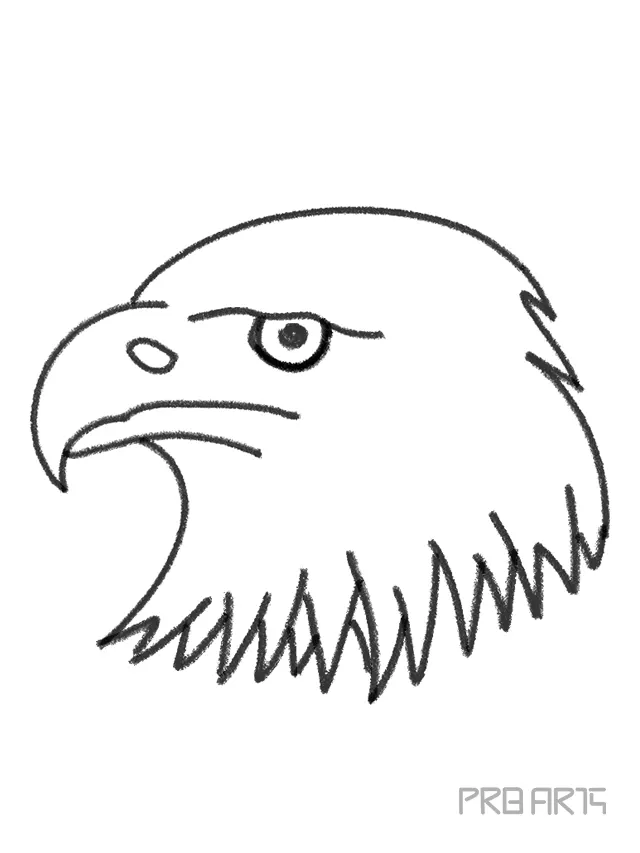 How to draw an Eagle face Step by Step | Pencil Sketch - YouTube