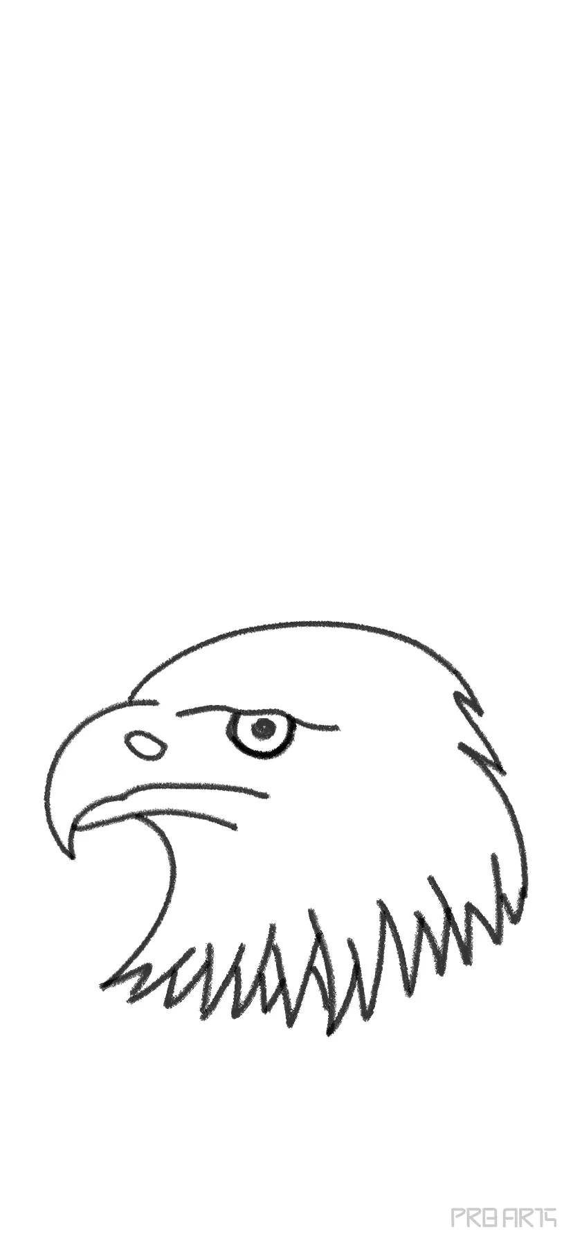 Eagle Head Drawing High-Quality - Drawing Skill