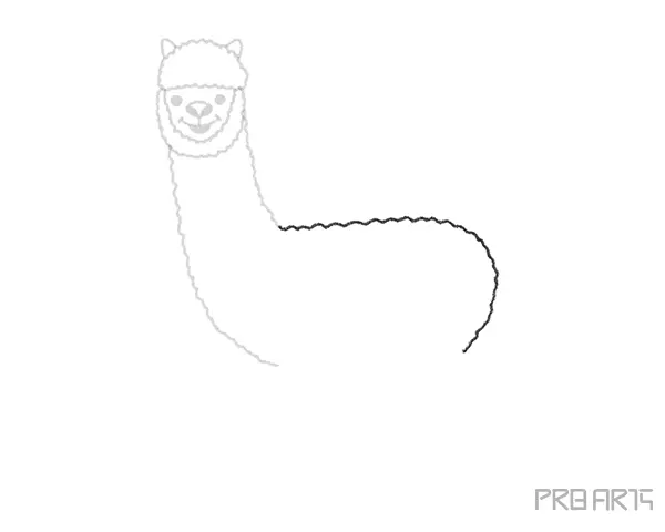 How To Draw An Alpaca – A Step by Step Guide - 08