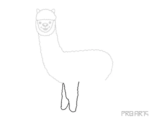 How To Draw An Alpaca – A Step by Step Guide - 09
