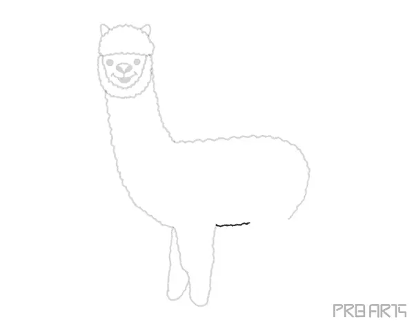 How To Draw An Alpaca – A Step by Step Guide - 10