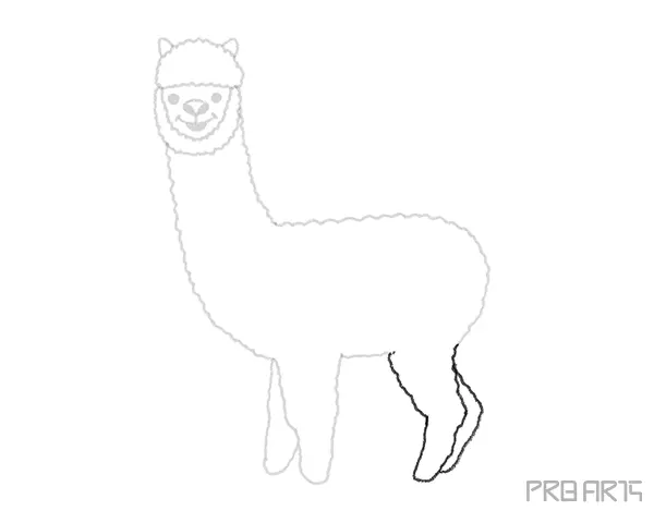 How To Draw An Alpaca – A Step by Step Guide - 11