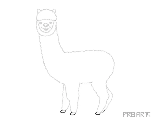 How To Draw An Alpaca – A Step by Step Guide - 12