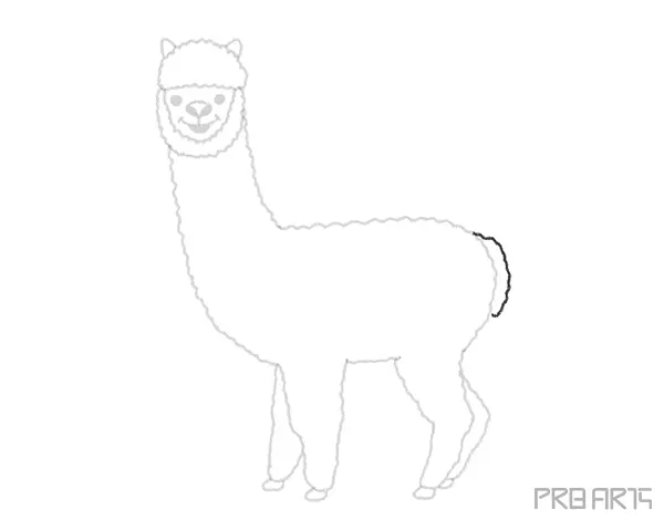 How To Draw An Alpaca – A Step by Step Guide - 13
