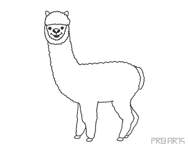 How To Draw An Alpaca – A Step by Step Guide