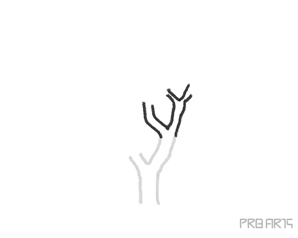 Drawing trees for kids- Step-by-Step Tree Drawing - Step 02