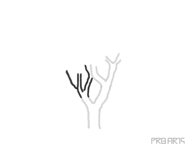 Drawing trees for kids- Step-by-Step Tree Drawing - Step 03