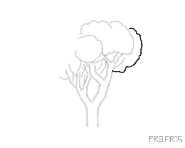 Drawing trees for kids- Step-by-Step Tree Drawing - Step 06