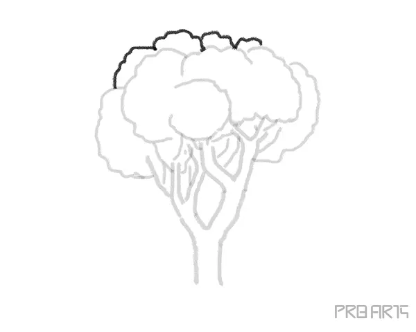 Drawing trees for kids- Step-by-Step Tree Drawing - Step 08