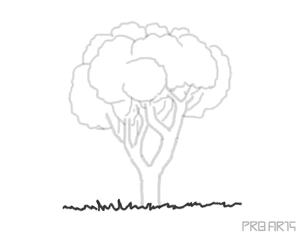 Drawing trees for kids- Step-by-Step Tree Drawing - Step 09