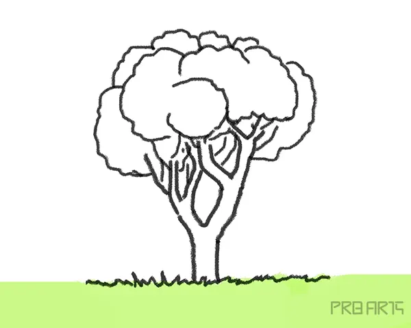 Drawing trees for kids- Step-by-Step Tree Drawing - Step 10