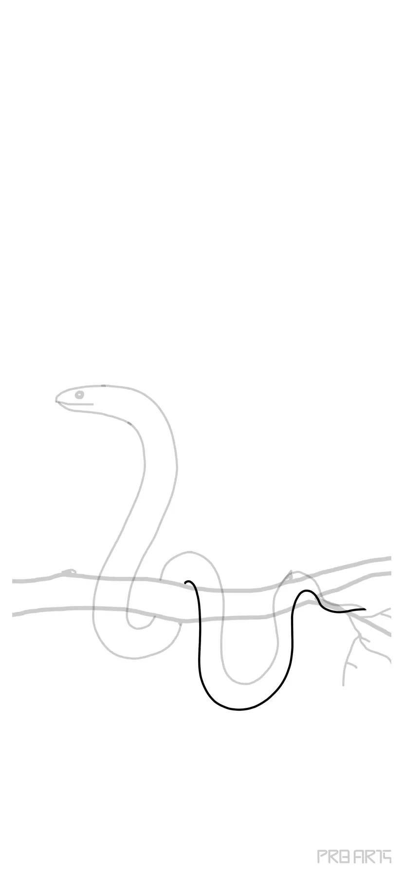How to draw a rattlesnake Stepbystep drawing tutorial