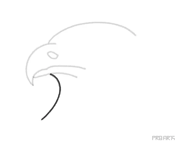 learn how to draw an eagle's head with easy drawing steps this art tutorial is designed for kids and beginners - 06