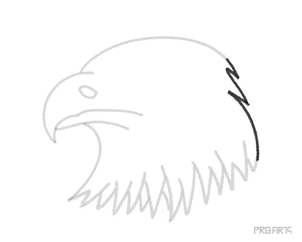 learn how to draw an eagle's head with easy drawing steps this art tutorial is designed for kids and beginners - 08