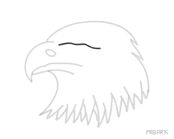 learn how to draw an eagle's head with easy drawing steps this art tutorial is designed for kids and beginners - 09