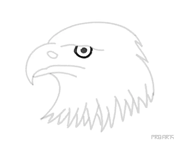 learn how to draw an eagle's head with easy drawing steps this art tutorial is designed for kids and beginners - 10